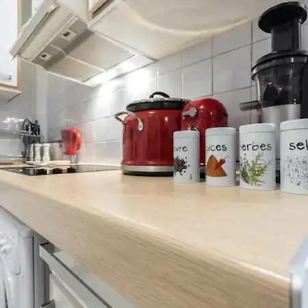 公寓 Central Flat With Beautiful View And Balcony 尼斯